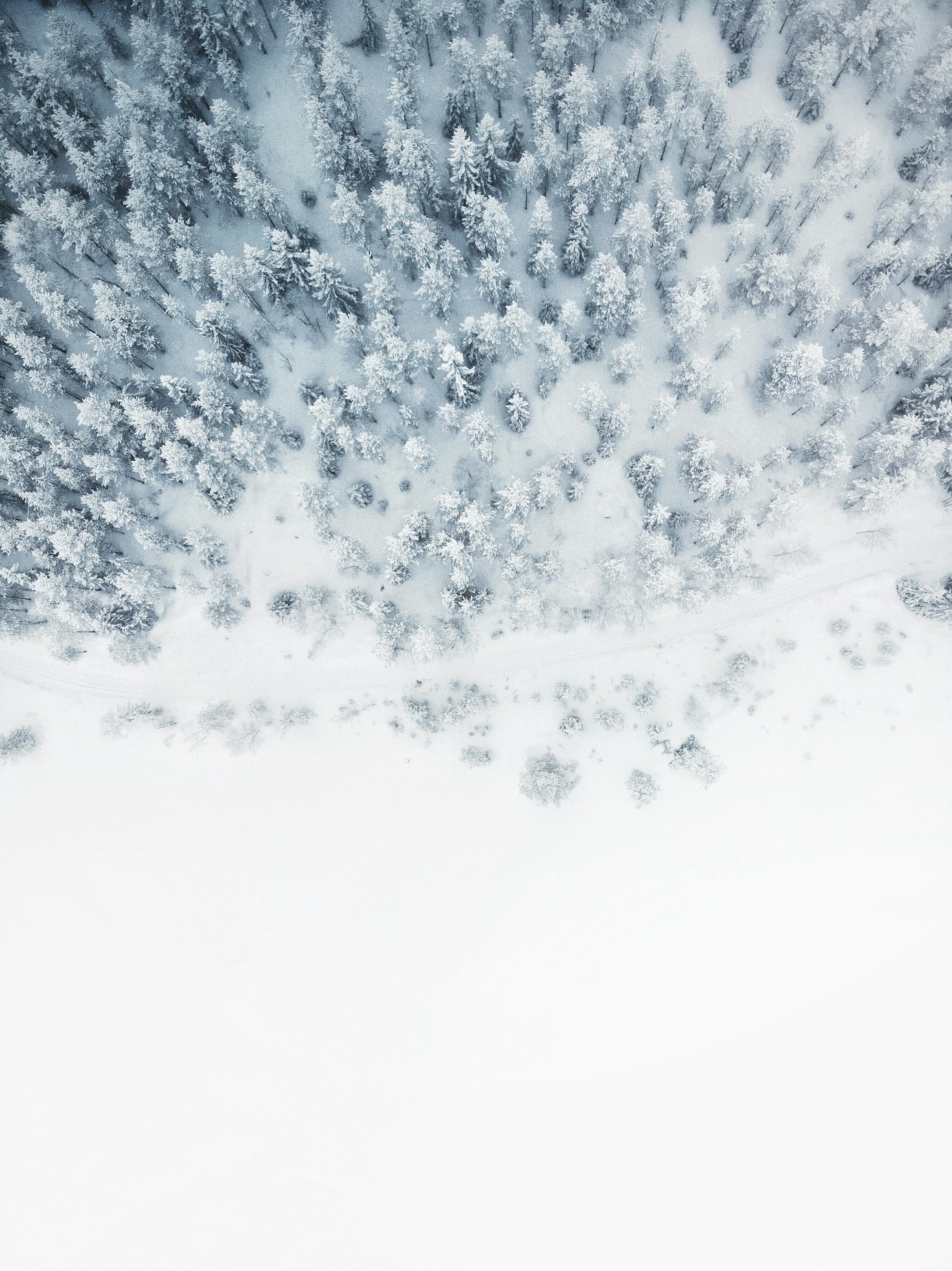 How to Prepare for a Perfect Ski Trip