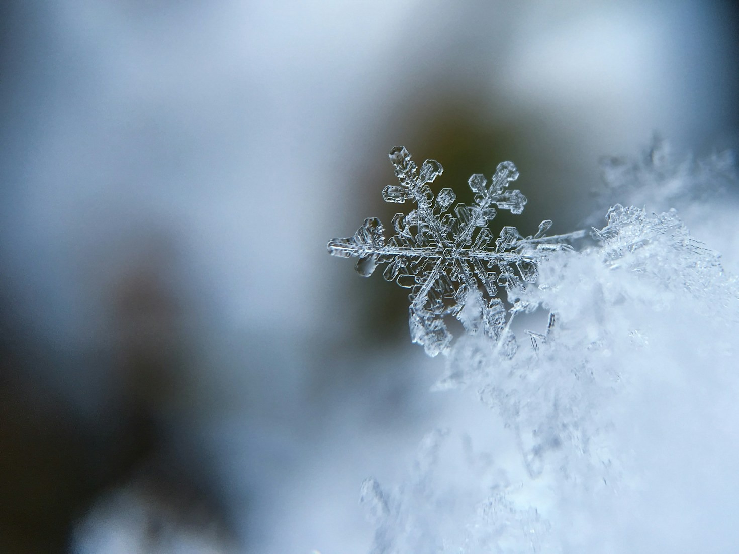 10 Essential Tips for Winter Sports Beginners