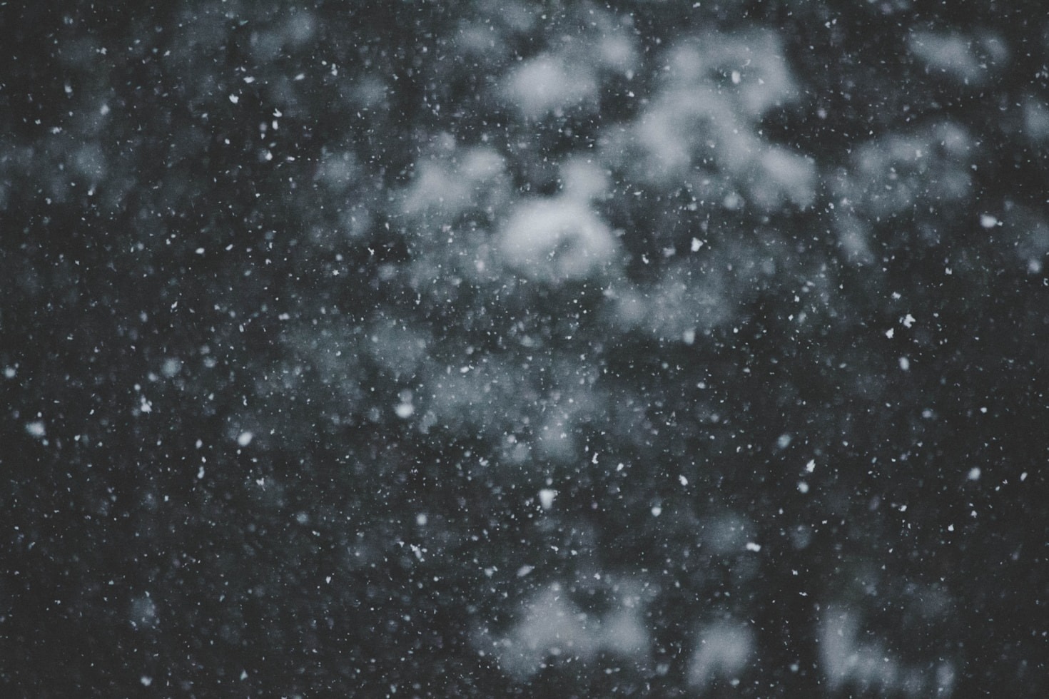 The Art of Capturing Snowy Photographs